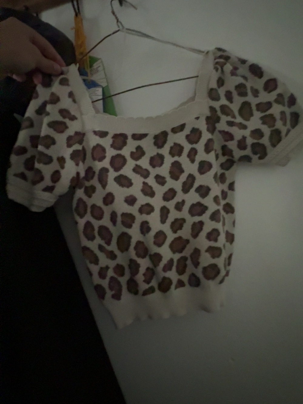 Cream Leopard Print Puff Sleeve Crop Top